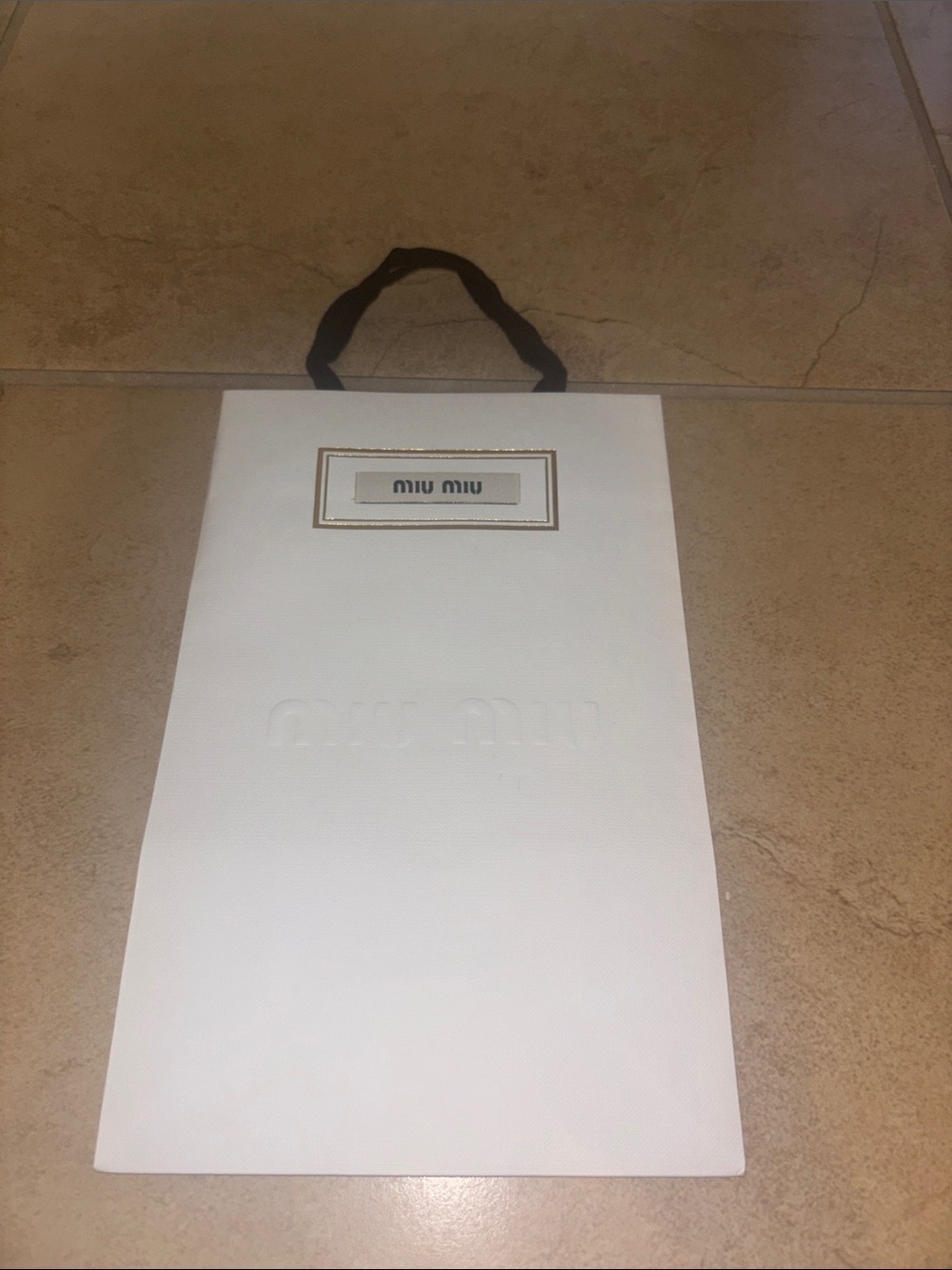 Miu Miu White Paper Shopping Bag with Black Handles